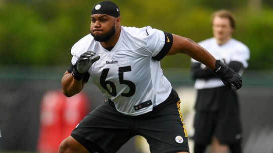 Steelers banking on youth on offensive line taken on the South Side (Steelers)